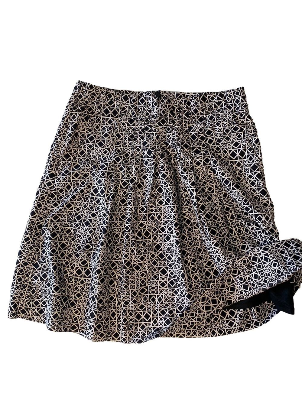 BCBG Skirt, pleated lined.